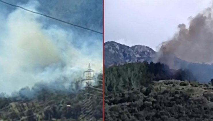 Osmaniye’de orman yangını! 2 saatte söndürüldü