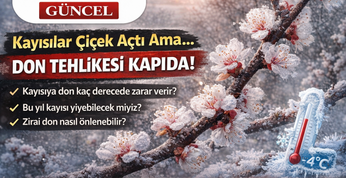 Kayısılar Çiçek Açtı Ama… Don Tehlikesi Kapıda!